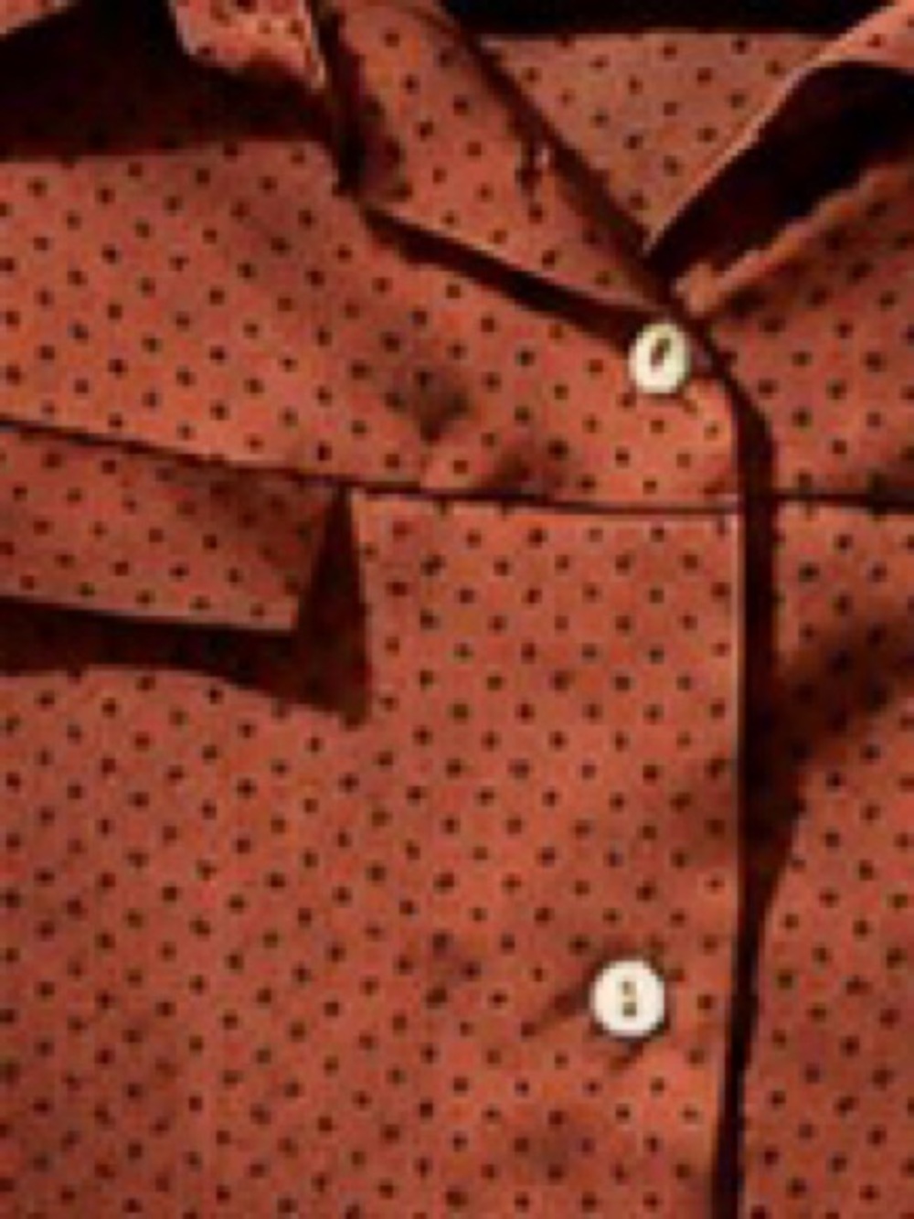 Black Tape Rust Polka Dot Tie Hem Blouse XL - Picture 3 of 4